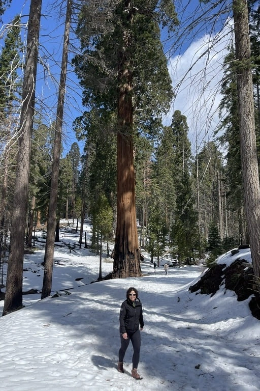 Sequoia National Park