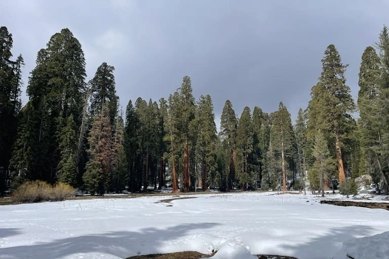 Sequoia National Park